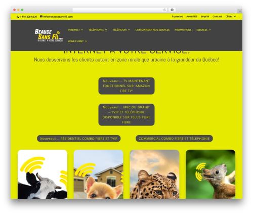 Best WordPress theme Divi - beaucesansfil.com