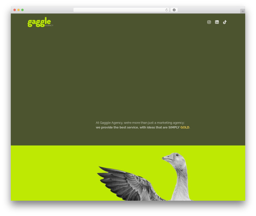 Elementor pro 2 WordPress plugin - gaggle-agency.com