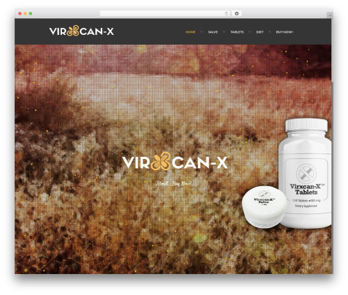 Ananke WordPress theme - virxcansalve.com