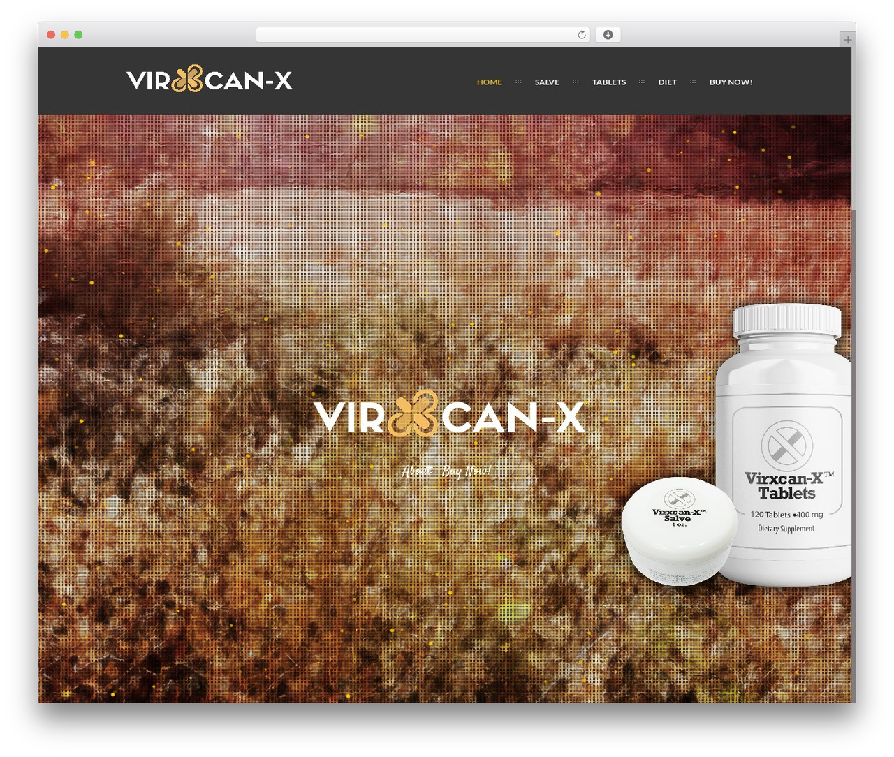 Ananke WordPress theme - virxcansalve.com Ananke WordPress theme - virxcansalve.com