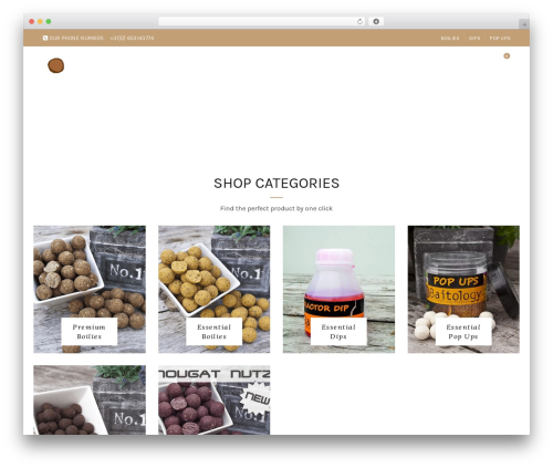 Basel theme WordPress - baitology.com