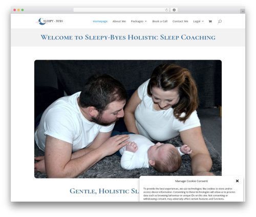 Booking calendar com WordPress plugin - sleepybyes.com