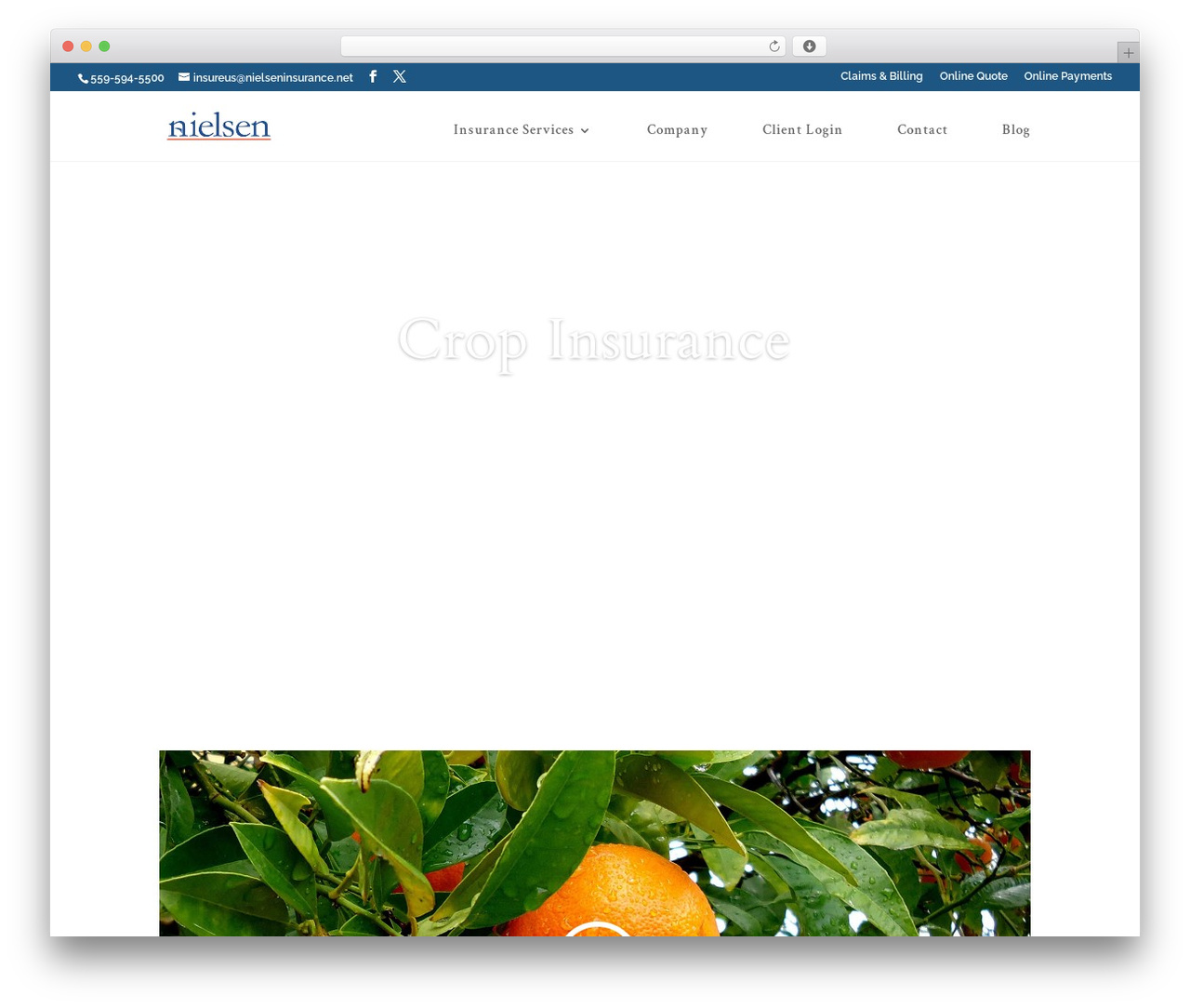 Theme WordPress Nielson & Associates - Divi Child Theme - nielseninsurance.net Theme WordPress Nielson & Associates - Divi Child Theme - nielseninsurance.net
