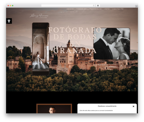 Proelements 3.30.0 WordPress plugin - lorenzoguerrero.com