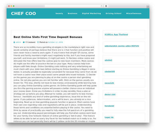 WordPress theme Magpoint - chefcoo.com