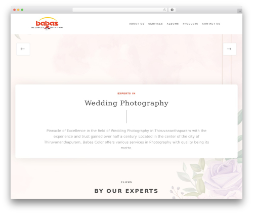 Reflector plugins WordPress plugin - babas.in