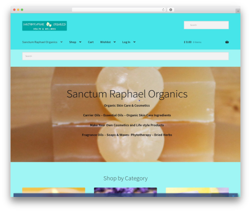 Autocomplete wc order status WordPress plugin - sanctumraphael.uk