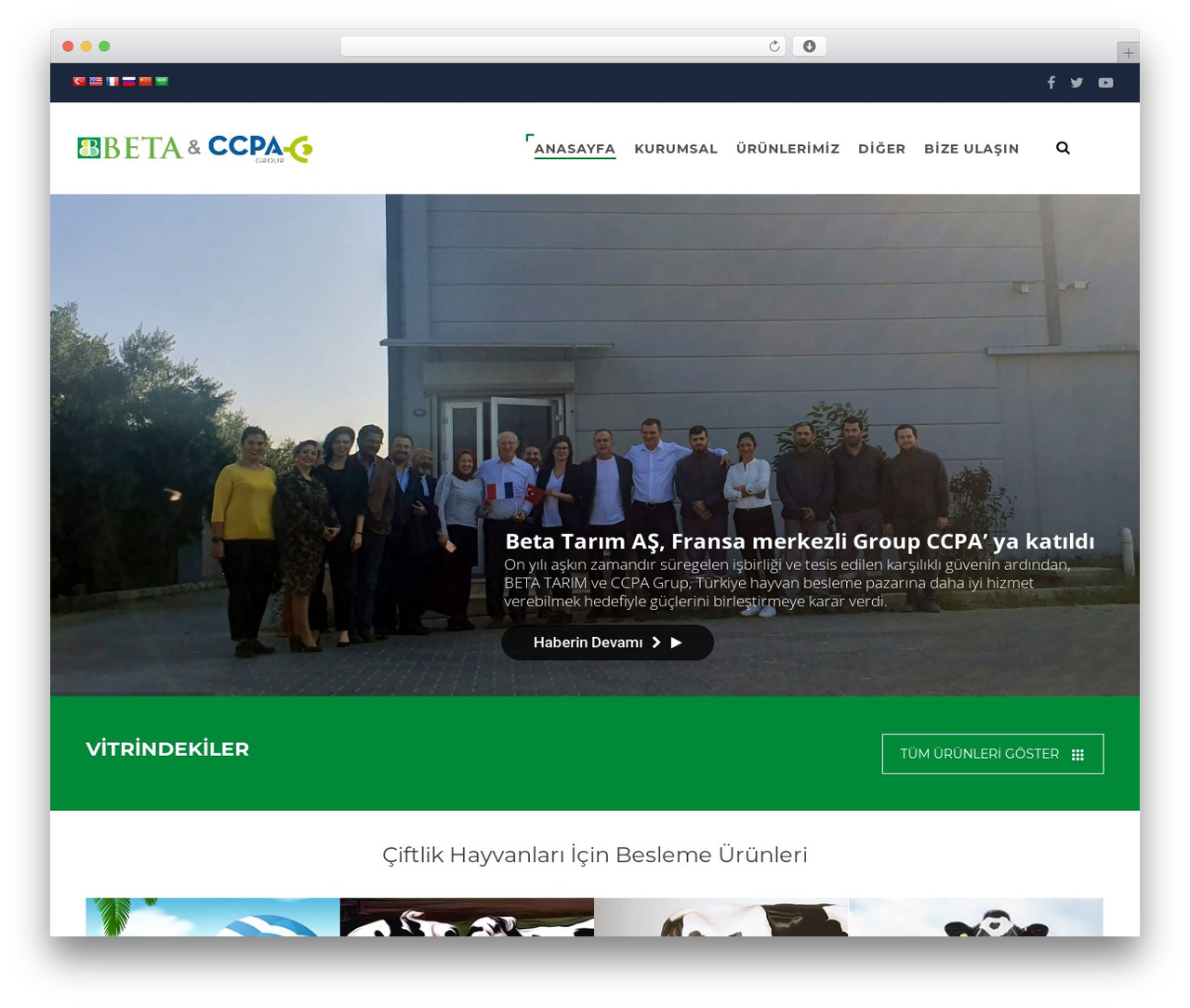 BETA theme WordPress - betatarim.com