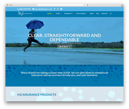 Divi WordPress theme design - h2ibrokers.com