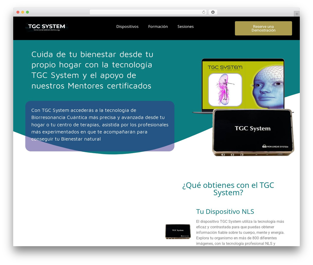 Hello Elementor WordPress theme - tgcsystem.com