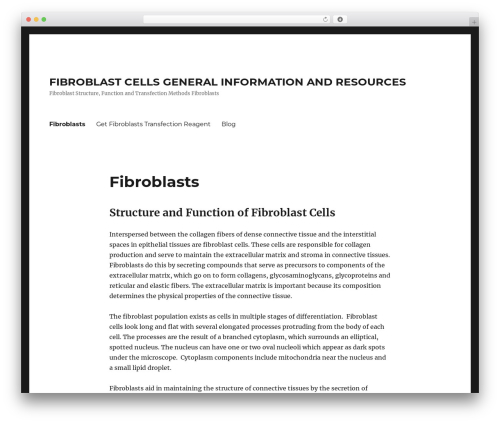 Twenty Sixteen theme free download - fibroblast-transfection.com