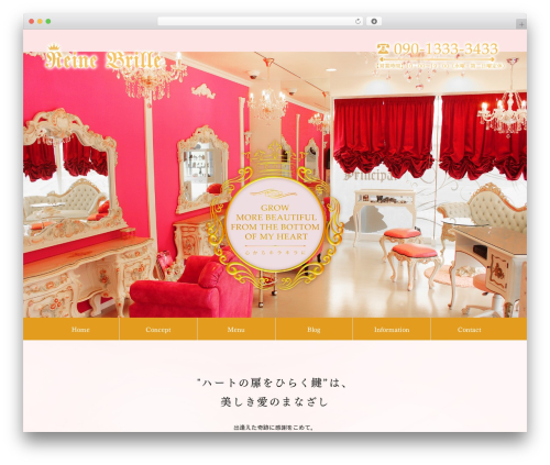 WordPress theme AS-tpl - reine-brille.com
