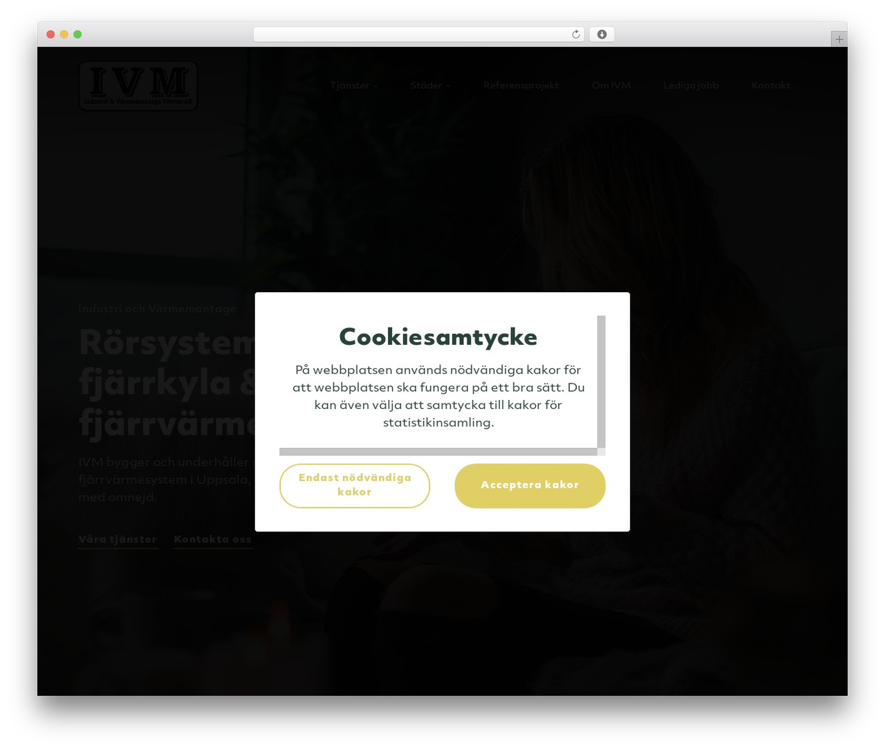 WordPress theme WW Platform - ivmab.com