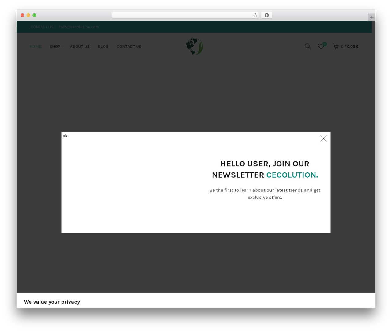 Basel top WordPress theme - cecolution.com