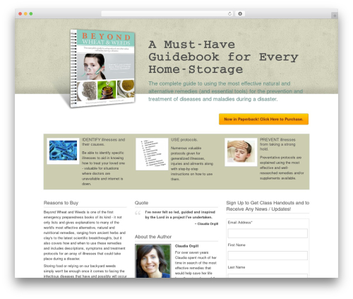 Best WordPress theme eBook - beyondwheatandweeds.com
