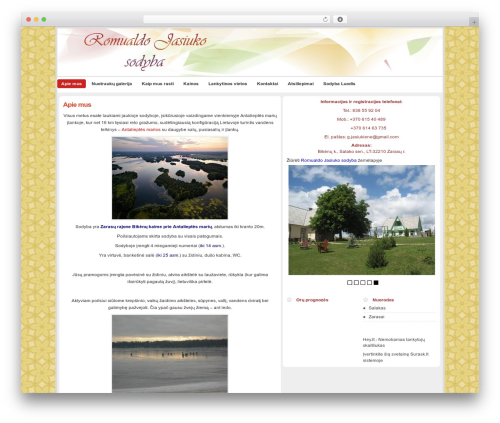 Division-Wordpress top WordPress theme - bikenai.lt