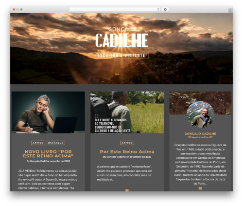 journey WordPress theme - goncalocadilhe.com