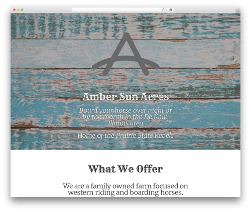 LEVELUP WordPress theme - ambersunacres.co