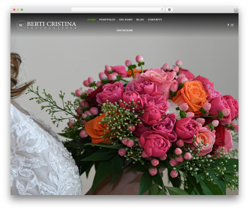 Pm instagram WordPress plugin - berticristinaphotographer.com