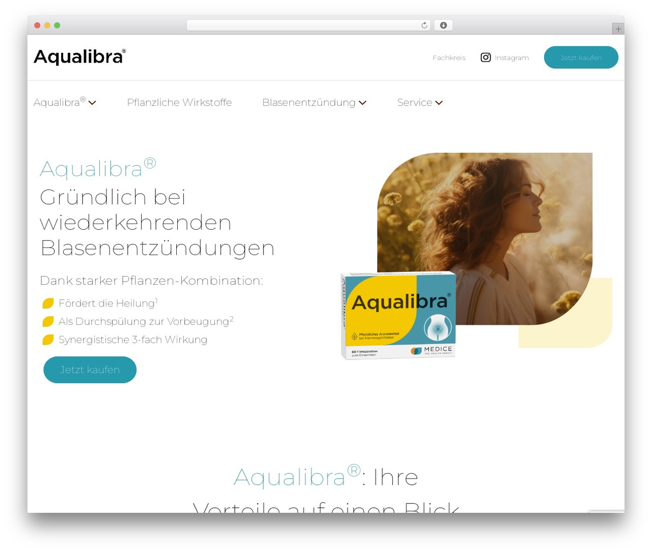 WordPress theme wp-hero - aqualibra.de WordPress theme wp-hero - aqualibra.de