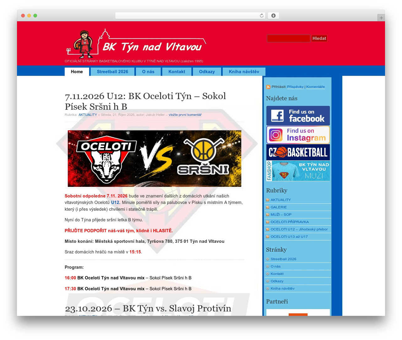 WordPress website theme simpleX - baskettyn.cz WordPress website theme simpleX - baskettyn.cz