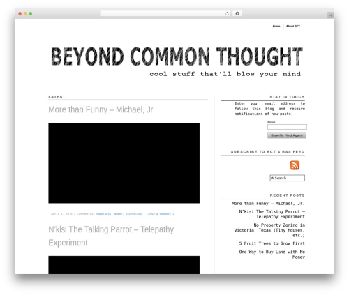 Modularity Lite theme WordPress - beyondcommonthought.com