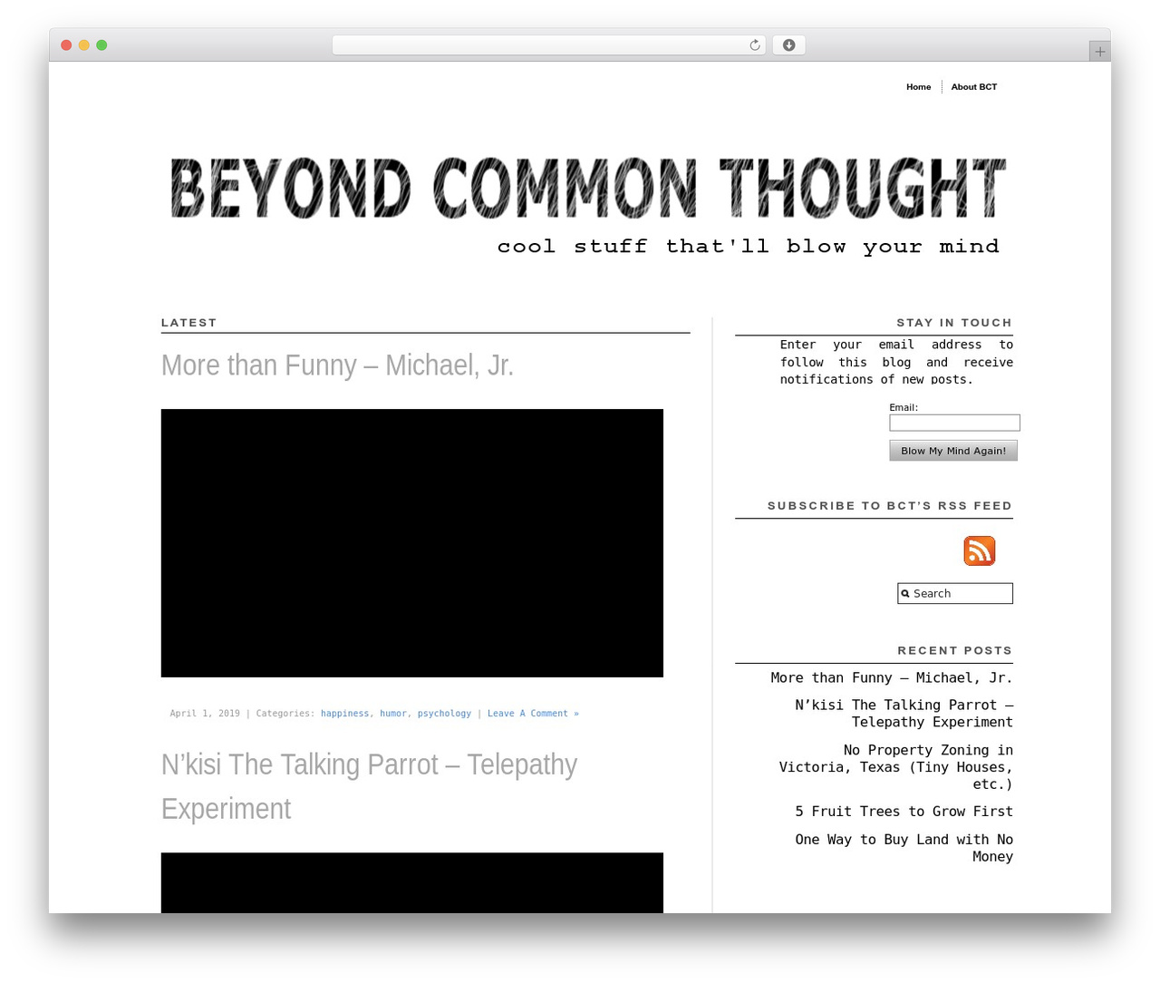 Modularity Lite theme WordPress - beyondcommonthought.com