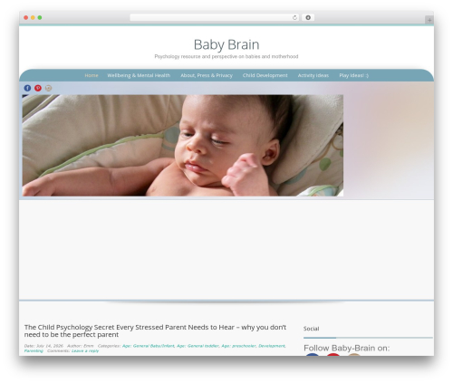 Theme WordPress Preference Lite - baby-brain.co.uk Theme WordPress Preference Lite - baby-brain.co.uk