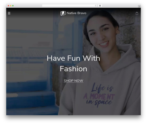 Sellvia email marketing WordPress plugin - nativebravostore.com