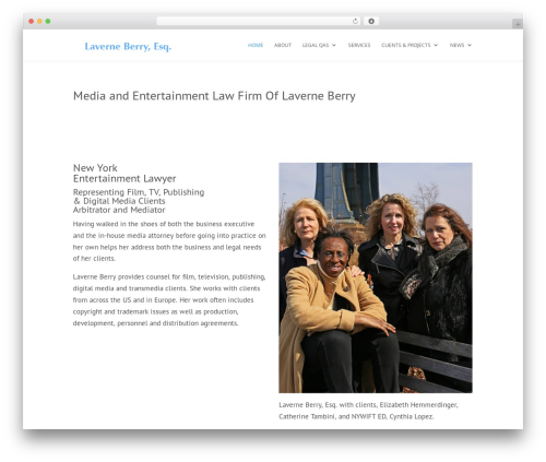 WordPress theme Divi - berryentertainmentlaw.com