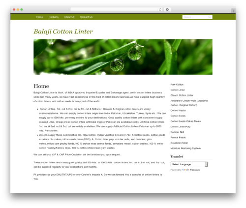 Rumput Hijau WordPress theme - balajicottonlinter.com