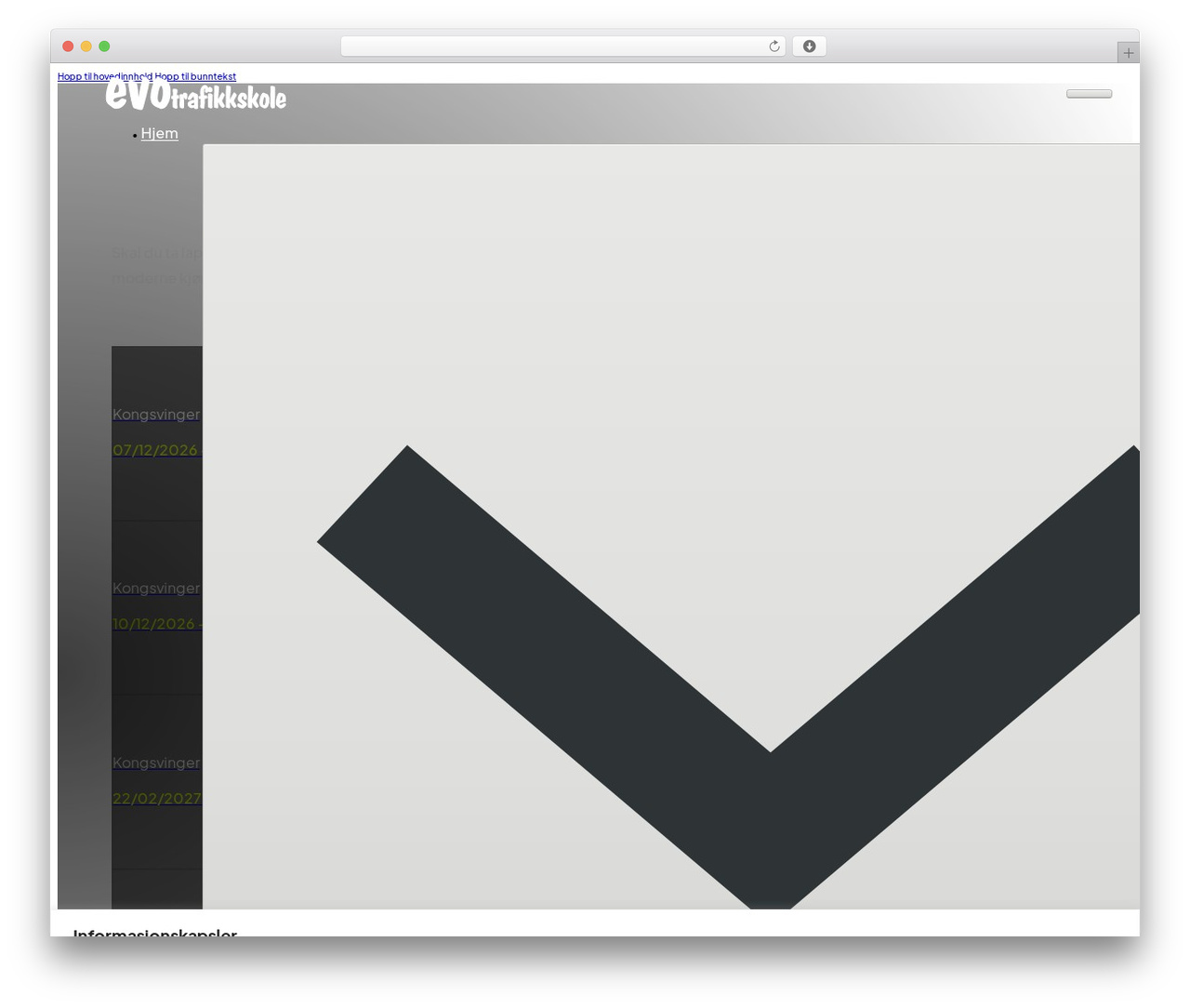 WordPress theme Bricks - evotrafikkskole.no
