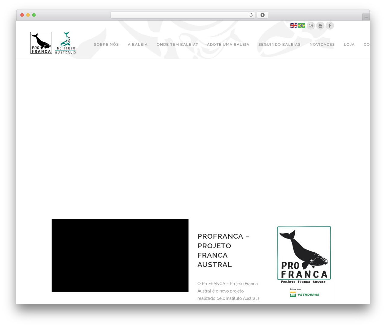 WordPress theme Bridge - baleiafranca.org.br WordPress theme Bridge - baleiafranca.org.br