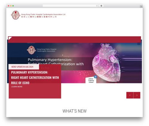 LabtechCO WordPress website theme - hkphca.hk