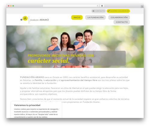 WordPress theme Divi - fundacionaramo.es