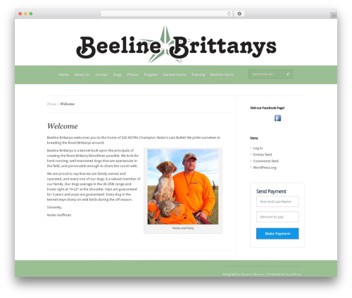 Quick Paypal Payments (quick-paypal-payments) free WordPress plugin - beelinebrittanys.com Quick Paypal Payments (quick-paypal-payments) free WordPress plugin - beelinebrittanys.com
