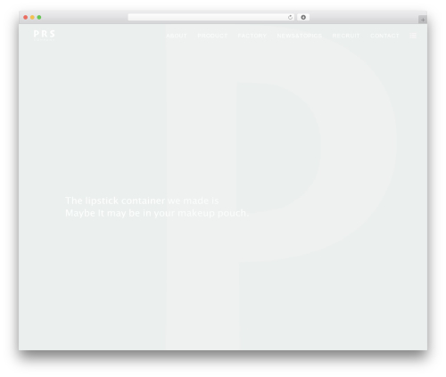 WordPress theme prs - prs-company.com