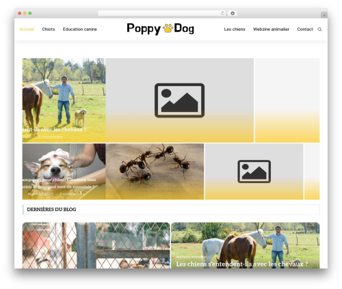 Toolinks posts WordPress plugin - poppydog.com