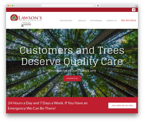 WP theme Reach Local - lawsontreeservice.com