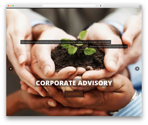 WordPress theme BCA - beehivecap.com