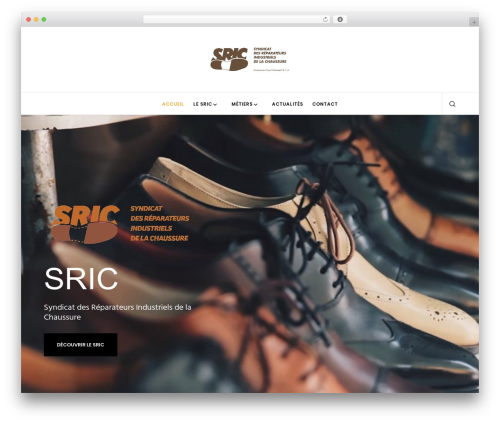 Wp hummingbird WordPress plugin - sric.info