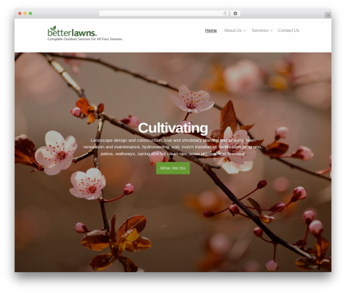 Basis theme WordPress - betterlawns-ri.com