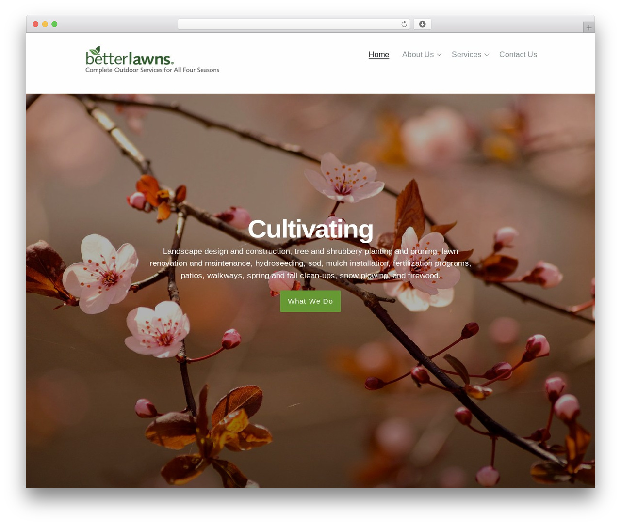 Basis theme WordPress - betterlawns-ri.com