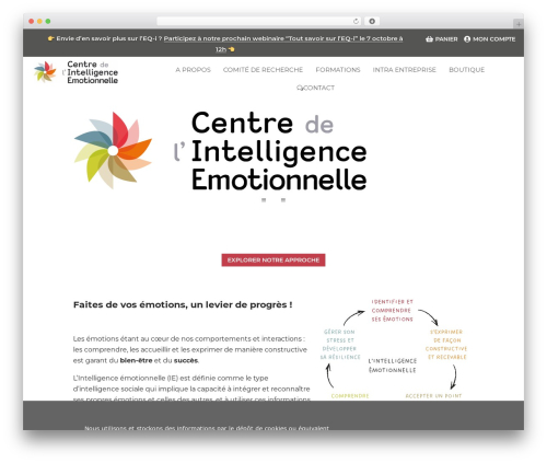 Best WordPress theme Divi - centreintelligenceemotionnelle.com