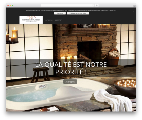 Best WordPress theme Divi - ricardocarvalho.ch