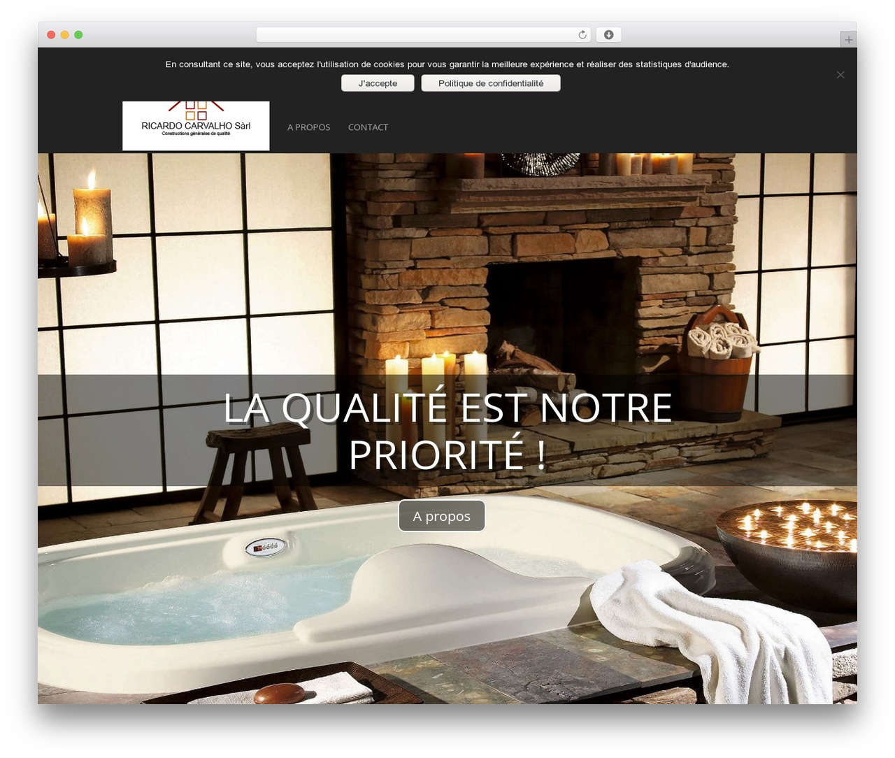 Best WordPress theme VAP - ricardocarvalho.ch