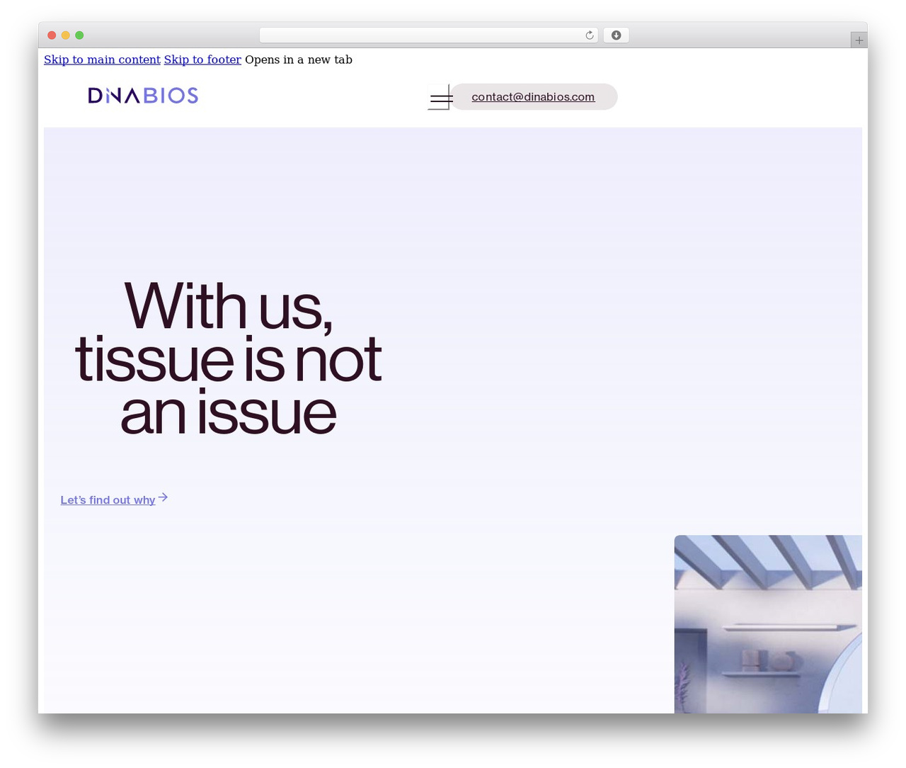 Bricks WordPress website theme - dinabios.com Bricks WordPress website theme - dinabios.com