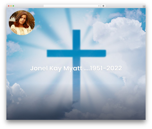 Creativeily top WordPress theme - jonimyatt.com