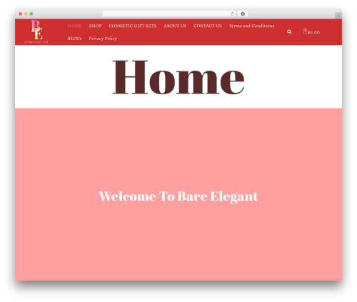 Order delivery date and time WordPress plugin - bareelegant.com