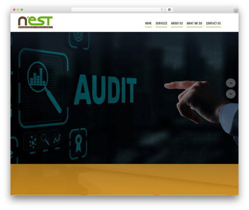 Linoor WordPress theme - nestmcin.com
